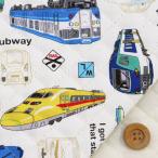  прохладный to дождь электропоезд рисунок | "теплый" белый ( все игла стеганое полотно ткань )