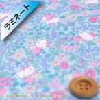 ( оригинал цвет ) Liberty * ткань s× Hello Kitty tana заем ( ламинирование обработка )[ клубника * поле ]se rest голубой (DC27771/J27E)