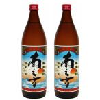 鹿児島限定 芋焼酎 セット 南之方 みなんかた 25度 900ml×2本 薩摩酒造