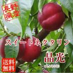 長野県産 スイートネクタリン（晶光） 約２kg 送料無料