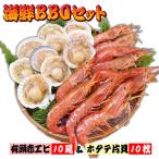 ショッピングホタテ 海鮮BBQ 有頭赤エビ×10尾 ＆ ホタテ片貝10個セット送料無料 バーベキュー 海鮮バーベキュー 海老と帆立貝のBBQセット 冷凍