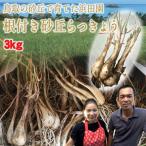 la both Tottori prefecture luck part production . rice field . root attaching sand . rakkyou 3kg size ... sand attaching normal temperature 