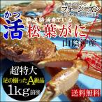  краб краб . специальный продукт предварительный заказ распродажа отправка когда ...... сосна лист .. с биркой .. для очень большой 1 листов 1kg передний и задний (до и после) бесплатная доставка 