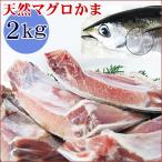 　マグロかま　どっさり2ｋｇセット　2〜8個　詰め込み　冷凍