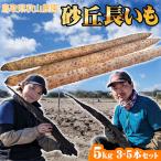  осень гора сельское хозяйство . батат 3-5 шт. входит примерно 5kg бесплатная доставка Tottori префектура обычная температура китайский ямс подарок специальный продукт достопримечательность товар 