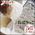 ギフト 特産品 名物商品 ねばりっこ 進物用  3-6本入 約5ｋｇ 送料無料 常温 鳥取県 特産品 とろろ