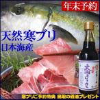 送料無料 寒ブリ 天然ブリ 生 1匹 3kg前後  鳥取の醤油 大山むらさき１本プレゼント