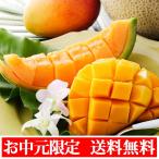 Yahoo! Yahoo!ショッピング(ヤフー ショッピング)お中元 メロン 果物 ギフト 送料無料 北海道産 赤肉メロン ＆ 沖縄県産 マンゴー 御中元
