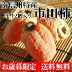 お歳暮 御歳暮 市田柿 長野県産 送料無料 果物 フルーツ ギフト