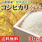 玄米 コシヒカリ 30kg 新米 山形県産 特別栽培米 送料無料 30年度産 産地直送
