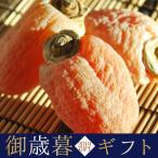 お歳暮 市田柿 信州産 送料無料 御歳暮 果物 フルーツ ギフト