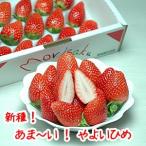 いちご「やよいひめ」30粒　送料無料！！