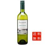 ギフト プレゼント ワイン ペドロ・ヒメネス レセルバ / ファレルニア 白 750ml 12本セット チリ エルキ・ヴァレー 白ワイン 送料無料