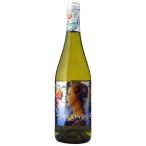 Yahoo! Yahoo!ショッピング(ヤフー ショッピング)ギフト プレゼント ワイン ラガール・ダ・コンデサ 白 750ml スペイン リアス・バイシャス 白ワイン