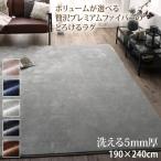 人気ラグ ボリュームが選べる 贅沢プレミアムファイバー とろけるラグ 洗える 5mm厚ウレタン入りタイプ 190×240cm gran