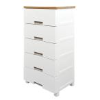 天馬 Fits フィッツプラスメッシュ (幅55×奥行41×高さ105cm) ホワイト FM5505