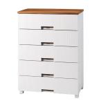 天馬 Fits フィッツプラスメッシュ (幅75×奥行41×高さ105cm) ホワイト FM7505