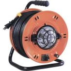 日動 でんぴかりーる SD24P 20M