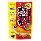 すくすくメダカ４０ｇ