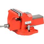 E-Value ホームバイス 回転台付き アンビル付き 100mm