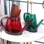  лейка Joe rojouro Северная Европа . дождь . кувшин суккулентное растение декоративное растение садоводство питчер сад садоводство двор веранда полив держать рука интерьер 