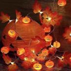 送料無料LEDライトクリスマスイルミネーション3M/6Mカーテンライトイルミネーションライトストリングライト株式会社錦フェアリーライト装飾ライトクリスマス飾り