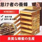 3/5階 蜜蜂巣箱 ミツバチ 巣箱 重箱式 養蜂箱 杉材 蜂ハイブ 格子箱 煮蝋 蜜蜂飼育箱 巣枠不要 自然造蜜 株式会社錦 防水性と防食性 (Color _ 5階/5窓)