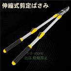  ветка порез .. обрезка на высоком месте . обрезка . ножницы для обрезки futoshi ветка порез .. высота ветка порез ветка порез .. ветка .. ножницы ветка порез .basami храпового типа легкий высота ветка ножницы .