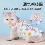  кошка для . после одежда домашнее животное уход одежда домашнее животное . после одежда . после одежда . часть защита . после восстановление царапина облизывание акционерное общество ..... предотвращение .. царапина .. защита кошка развлечение мяч 2 шт имеется 