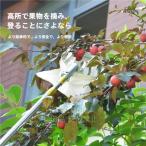  фрукты уборщик фрукты брать . обрезка на высоком месте щипцы эластичный тип высота ветка . фрукты .. tool pi King tool фрукты catcher легкий Berry уборщик фруктовое дерево для фрукты уборщик 