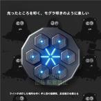 【限定セール】 音楽ボクシングマシン スマート ディスプレイ付き ライト付き 子供大人 壁掛け ボクシングトレーニングパンチング機器 エクササイズ ターゲット