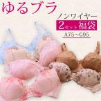 ブラジャー 大きいサイズ アンダー 大きめ ノンワイヤー ブラ レディース かわいい ノンワイヤーブラ 福袋 2025 セット 2枚 A B C D E F Gカップ 75 80 85 90 95