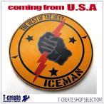  натуральная кожа patch милитари нашивка верх gun Iceman TOPGUN ICEMAN FIREBIRDS America армия U.S.NAVY