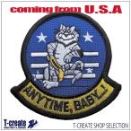  милитари нашивка F-14 Tomcat ANYTIME BABY America армия patch U.S.NAVY