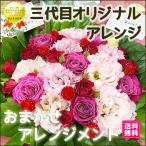 新築引っ越し祝い 花 ギフト お祝い プレゼント  おまかせ ナチュラルアレンジ スタンダード
