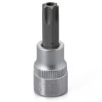 DAYTONA (デイトナ) バイク用 工具 ヘクサロビュラ(ピン付きトルクス) ソケット いじり止め T-50H 差込角3/8インチ 18600