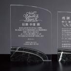 ɽ���ݥ������������������졼����Ħ��AK-1535A����250��180mm������̵��