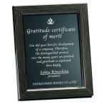 ���դ��֥�å��ߥ顼ɽ����H34-05��250��200mm������̵��