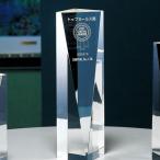 ���������ɽ���� T17-01A ��250��85mm������̵��