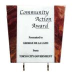 ŷ���н�P30-01A��220mm��235mm������̵��