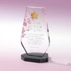 ɽ���ݥ������������������ӡ��ʥ�����ɡ�������ZVA-1247��200��115mm������̵��