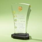 ɽ���ݥ������������������ӡ��ʥ�����ɡ���Ĥ�ZVA-1249��200��120mm������̵��