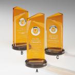 ɽ���ݥ������������������ӡ��ʥ�����ɡ�����C��195��100mm������̵��