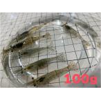 [881] волокно креветка (mo креветка )100g( примерно 100 шт ) примерно 2~3cm [ другой товар .. включение в покупку не возможно ] * претензии не принимаются ограничение 