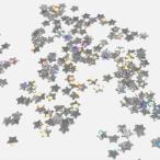  звезда. тент грамм j 2.5mm Aurora Silver Star ногти resin . входить детали ручная работа 