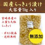 ショッピング1kg らっきょう 1kg 国産 無添加 甘酢漬 送料無料 九州産 宮崎 漬物 大容量 業務用 らっきょ らっきょう漬け らっきょう甘酢漬け