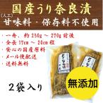 国産 奈良漬 老舗 無添加 奈良漬け 大サイズ 250g〜270g前後×2舟入 なら漬 瓜 人工甘味料保存料不使用 土用の丑の日 送料無料