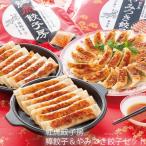 （産地直送/送料無料）紅虎餃子房 棒餃子&やみつき餃子セット (-V5933-209A-)