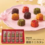 ショッピングお中元 アイス (産地直送・送料無料) お歳暮 ギフト 銀座京橋 レ ロジェ エギュスキロール 銀座ミニカヌレ (-4508-501-) | お年賀 内祝い ギフト