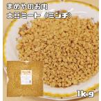 まめやのお肉(大豆ミート)ミンチタイプ 1kg 【国内加工品 ソイミート ベジミート 畑のお肉】